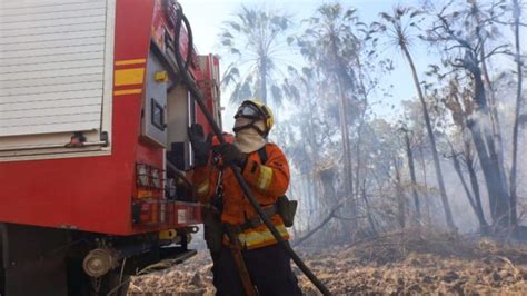 Mato Grosso do Sul volta a registrar incêndios no Pantanal