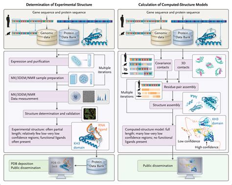 Predicting Proteome Scale Protein Structure With Artificial Intelligence Nejm