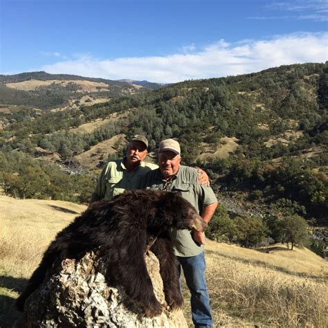 California Black Bear Hunting Guide - Central Coast Outfitters