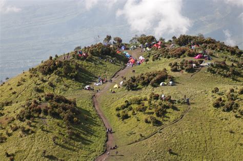 Jalur Pendakian Gunung Merbabu Via Suwanting Dan Wekas Dibuka Lagi