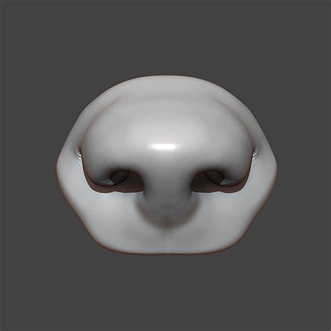 Dog Puppy Nose Highpoly Sculpt 3d Model Turbosquid 1818438