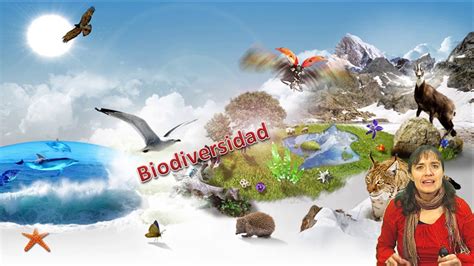 Biologia Ecosistema Y Biodiversidad I Nivel Clase N°7 Youtube