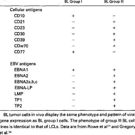 Phenotype And Viral Gene Expression Of Bl Group I And Group Cell