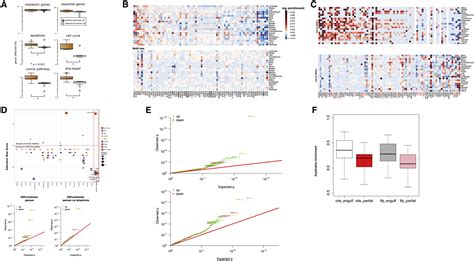 Passenger Mutations In More Than Cancer Genomes Overall