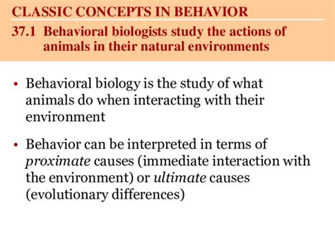 Ppt Animal Behavior Powerpoint