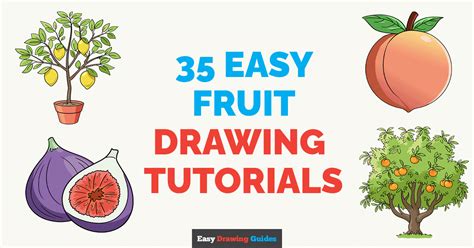 Easy Fruit Drawing Tutorials