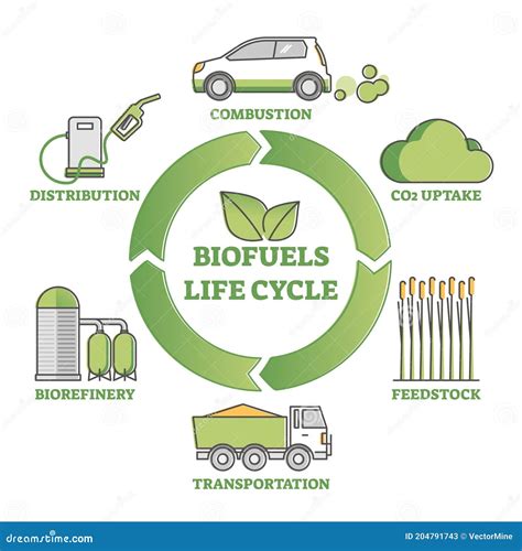 Biofuel Life Cycle Cartoon Vector 111963689