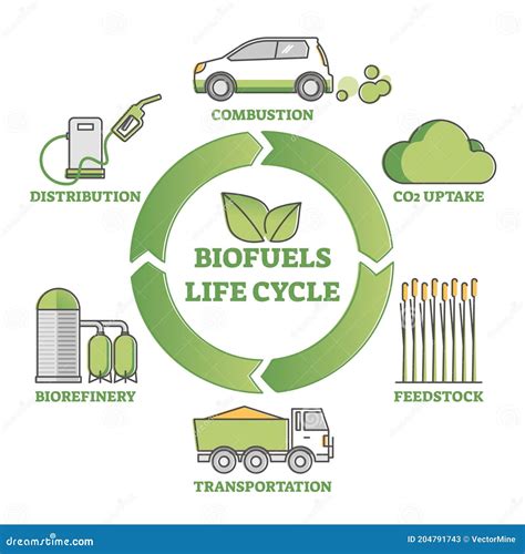 Diagramma Del Ciclo Di Vita Dei Biocarburanti Come Componente Del