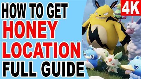 How To Get Honey Location Palworld Youtube