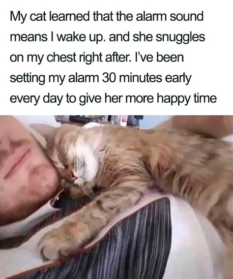 50 Wholesome Memes That Remind Us The World Isnt All Bad Bored Panda