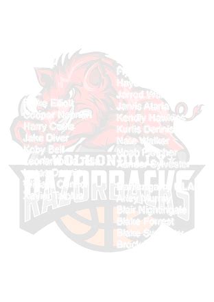 Representative Wollondilly Razorbacks Basketball Association Picton