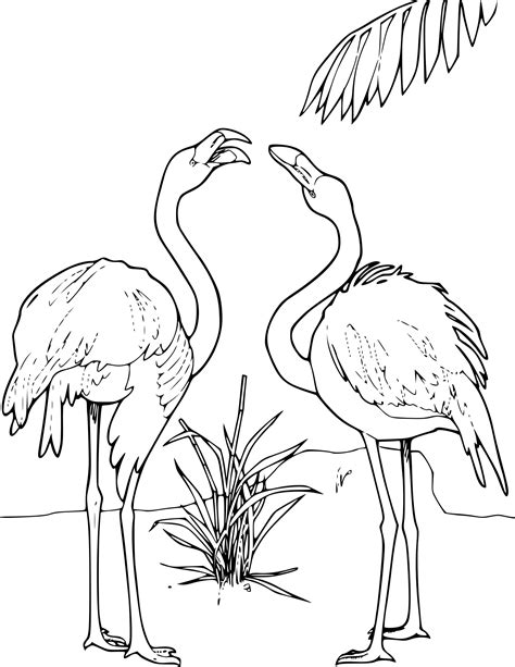 Flamant Coloriage Ausmalbilder Fenicottero Disegno Flamingos Flaming