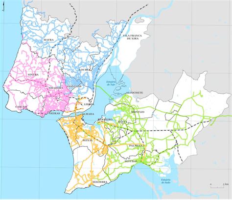 Carris Metropolitana Nova Marca Dos Transportes Públicos Da Área