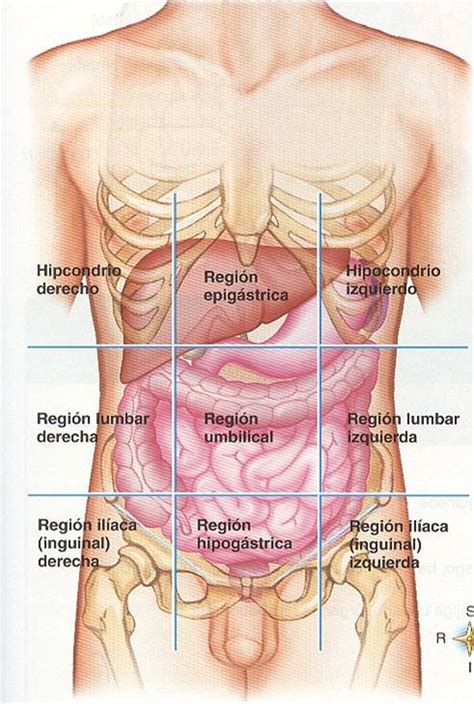 Emergencia Prehospitalaria Ujap Cavidades Del Cuerpo Humano