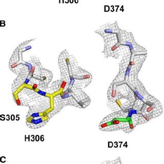 Structure Of The Pcsk Egf A Complex The Sigmaa Weighted F O F C