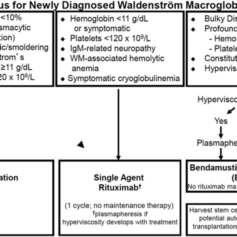 Mayo Clinic Consensus For Newly Diagnosed Wm Abbreviations Hb