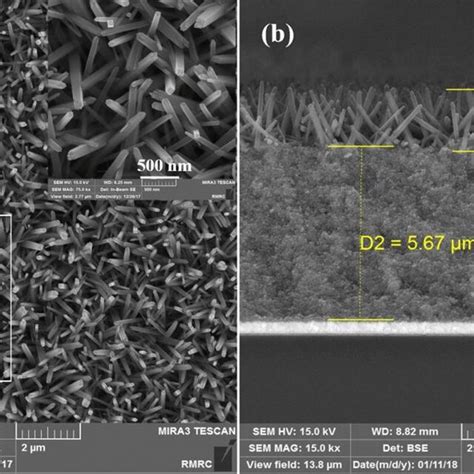 FESEM Of TiO2 Nanorods A Top View And B Cross Section The Size