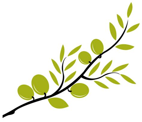 Images Of Olive Branches - ClipArt Best