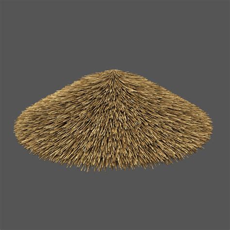 Thatched Roof Set 3d Turbosquid 1887048