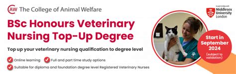 Blog Tag Veterinary Nursing Degree Caw
