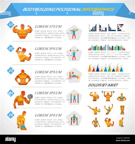 Bodybuilding Polygonal Infographics With Male And Female Figures And