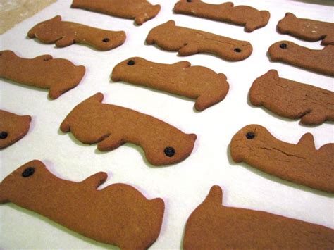 Kismet, Art, and Life: Groundhog cookies!