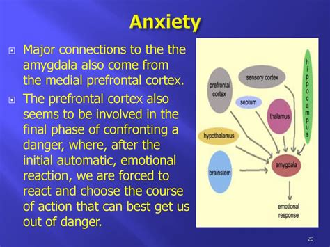 Anxiety Disorder Mood Disorder Ppt