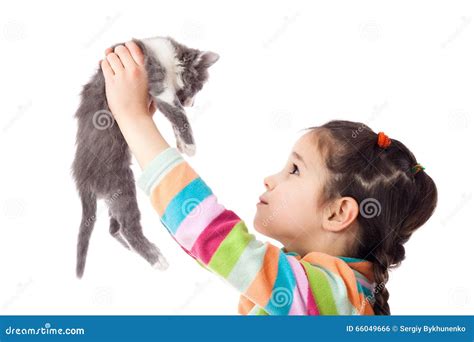 Little Girl Holding In Hands Adorable Kitten Stock Photo Image Of