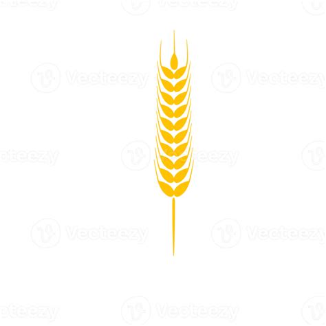 Ears Of Wheat Whole Grains For Making Bread Png