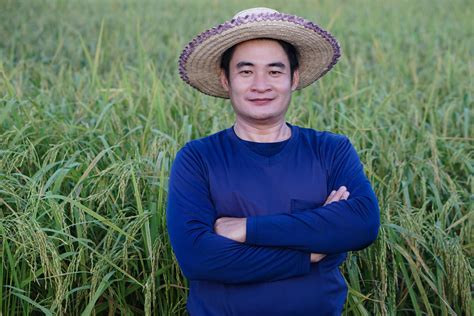 Handsome Asian Man Farmer Is At Paddy Field Wears Hat Blue Shirt