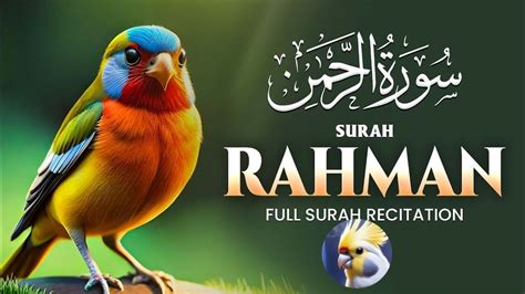 Surah Ur Rahman The Most Beneficent سورة الرحمن Heart touching voice