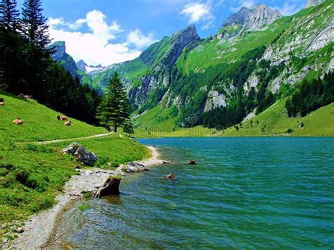 See Berg Wasser Landschaft Natur Berge Himmel Blau Fluss Wald