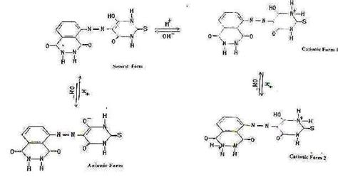 Scheme The Suggested Mechanism For Ionization And Protonation Of