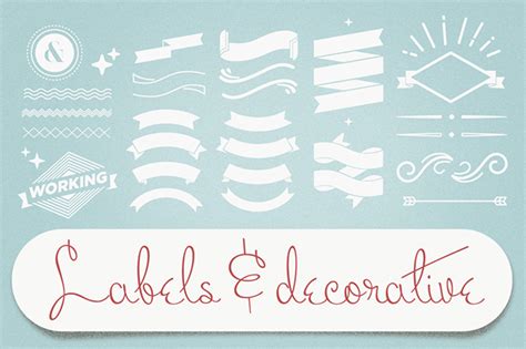 decorative vector bundle  behance
