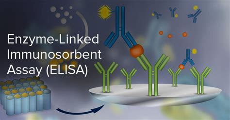 The Benchmark Of Immunoassays Is Enzyme Linked Immunosorbent Assay Ignite Blog