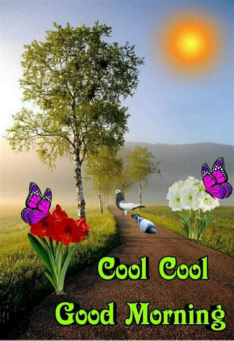 An Image Of A Road With Flowers And Butterflies In The Background That Says Cool Cool Good Morning