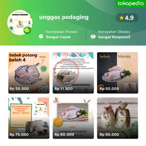 Toko Unggas Pedaging Online Produk Lengkap Harga Terbaik Tokopedia