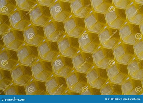 Background Texture And Pattern Of Section Voshchina Of Wax Honeycomb