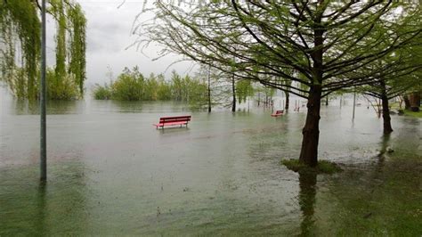 Maltempo Sino A 400 Mm Nel Canton Ticino Principio Di Esondazione A