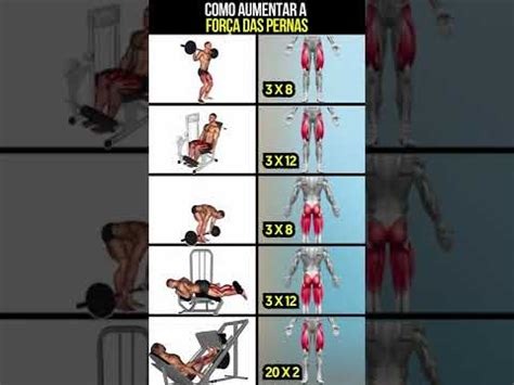 Como aumentar a força das pernas TREINO DE MUSCULAÇÃO shorts YouTube