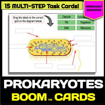 Prokaryotes Bacteria Archaea Boom Cards Digital Task Cards TPT