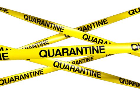 Quarantine Png Free Download Png Mart