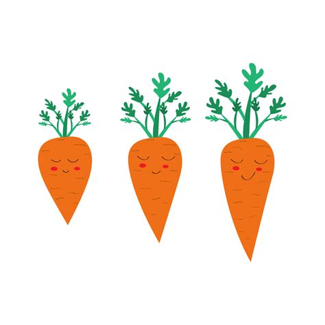 Cute Carrot Carrot Growth Cycle Set Of Carrots With Stalk In Flat Stylecartoon Carrot Flat