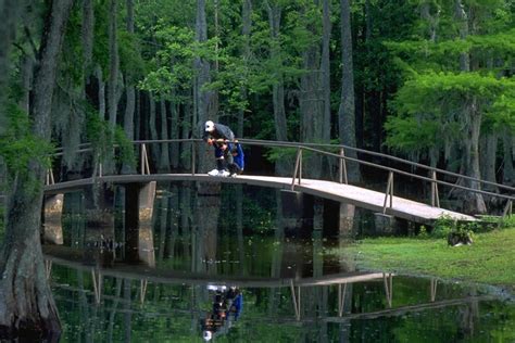 Sam Houston Jones State Park | Opportunities in Louisiana