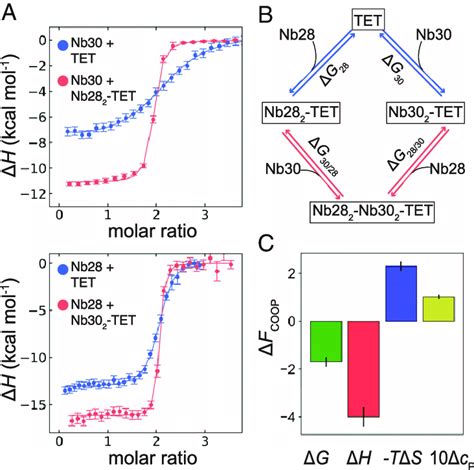 Allosteric Recognition Of The Aph 2 Module In The Tetrahedron Tet12sn