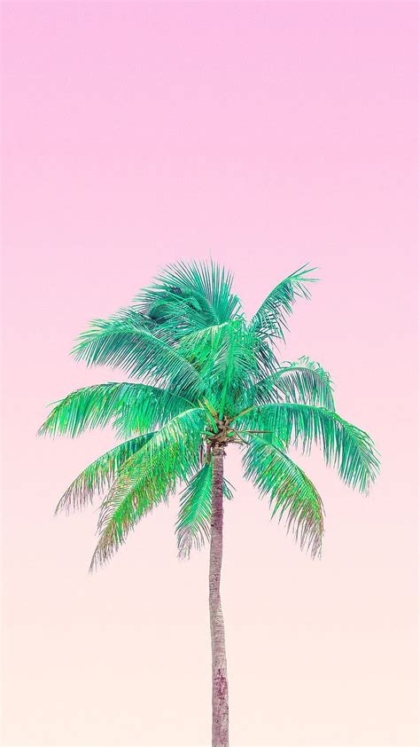 Aesthetic Palm Tree Pink Neon Palm Tree Hd Phone Wallpaper Pxfuel