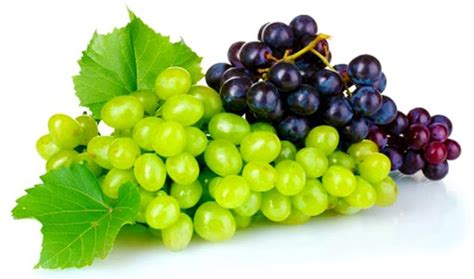 Fresh Grapes At Best Price In Navsari Ms Asian Traders