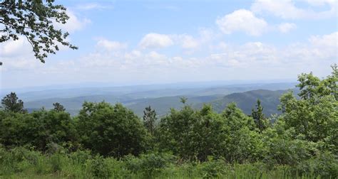 Ouachitacedar Lake The Dyrt