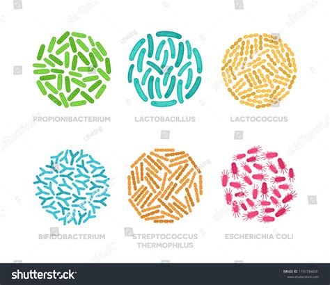 Set Probiotic Bacteria Circle Good Microorganisms Stock Vector Royalty