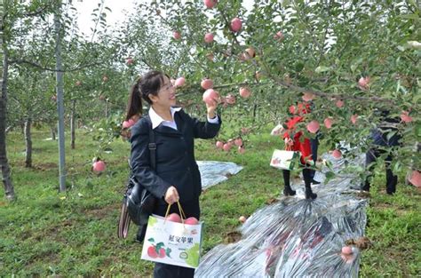 宜川縣舉辦2019年農民豐收節暨第五屆蘋果觀光採摘節活動 每日頭條